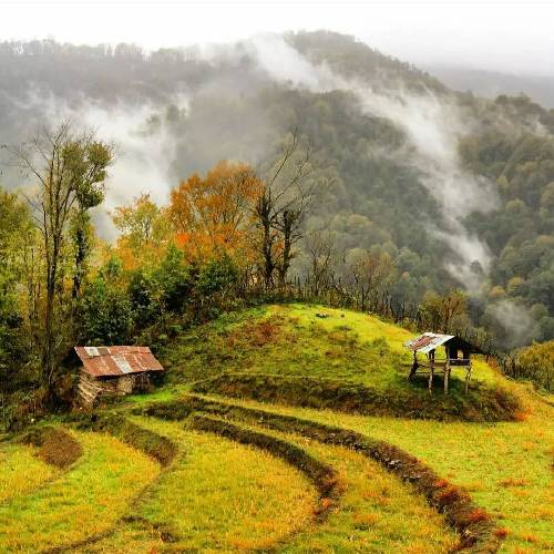 نکردم یه شبه این راه رو طی نبودم دنبال دیدار و فِیم